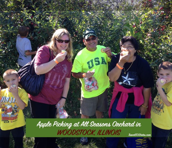 Apple Picking at All Seasons Orchard in Woodstock, Illinois