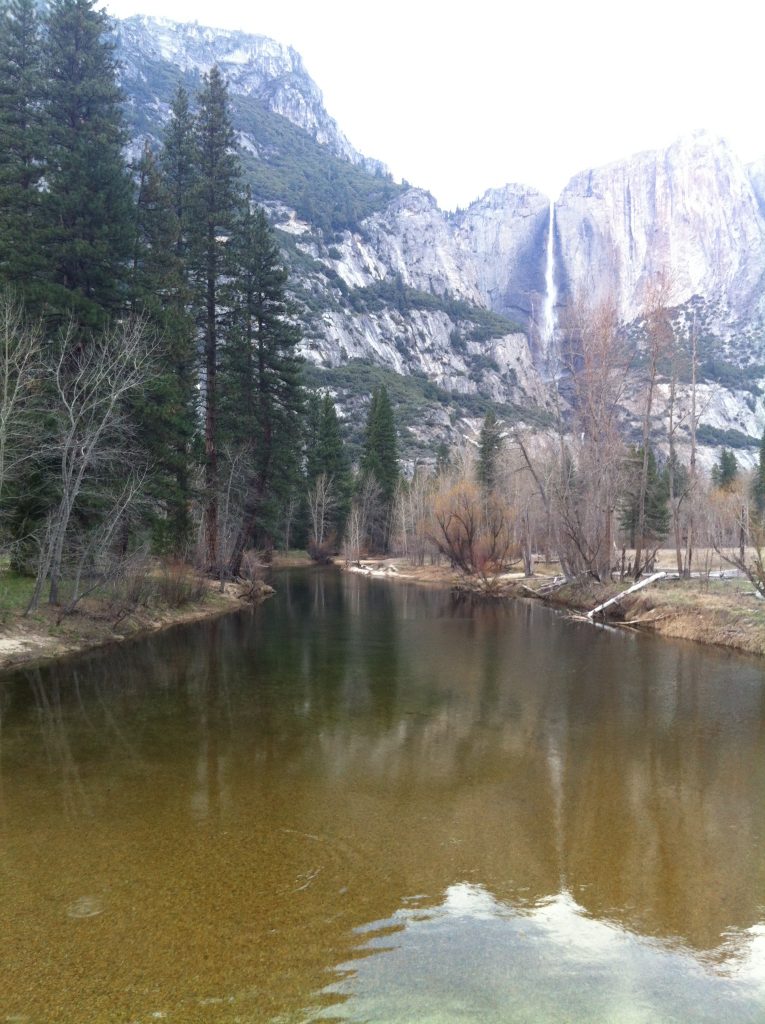 California Yosemite 2015 021