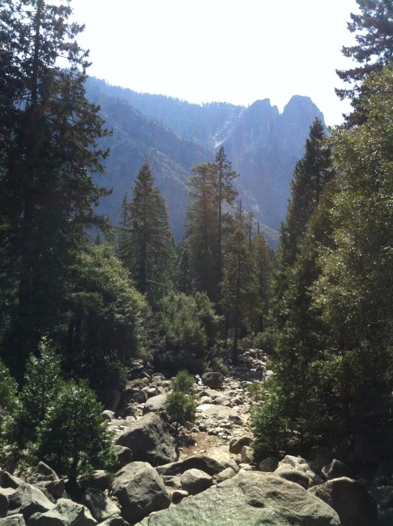 California Yosemite 2015 063