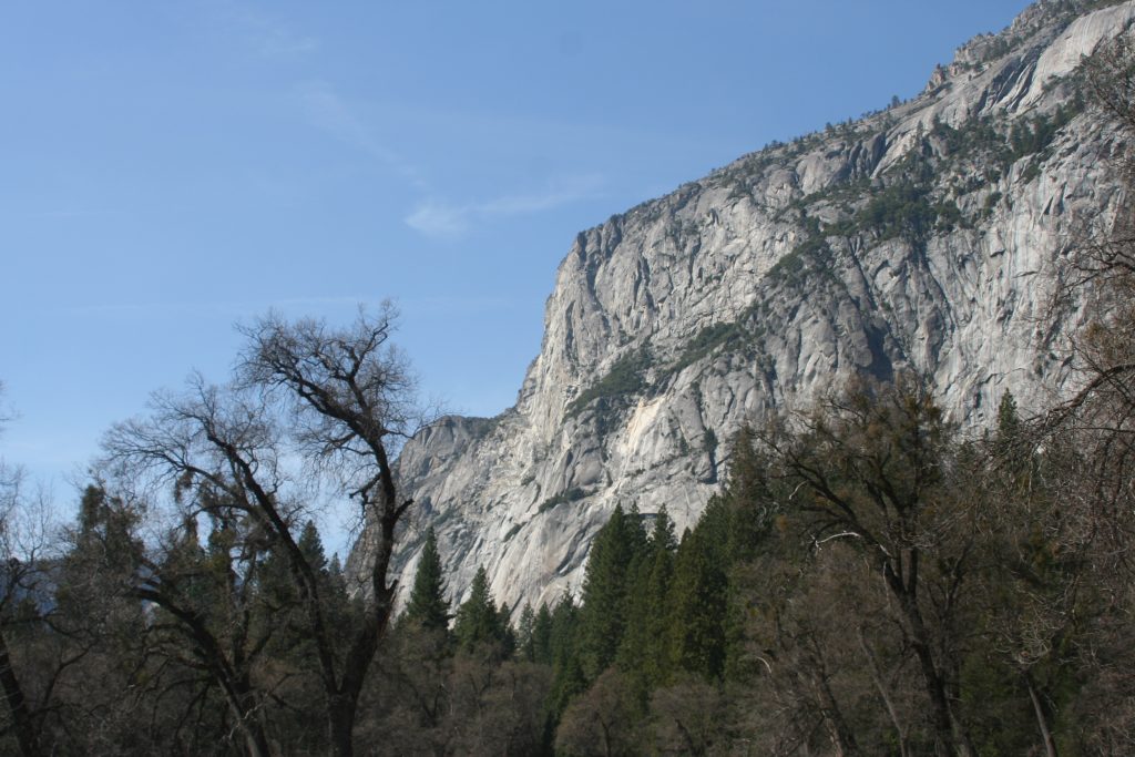 California Yosemite 2015 canon 066