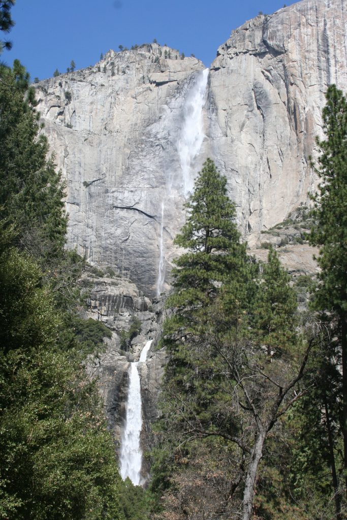 California Yosemite 2015 canon 124