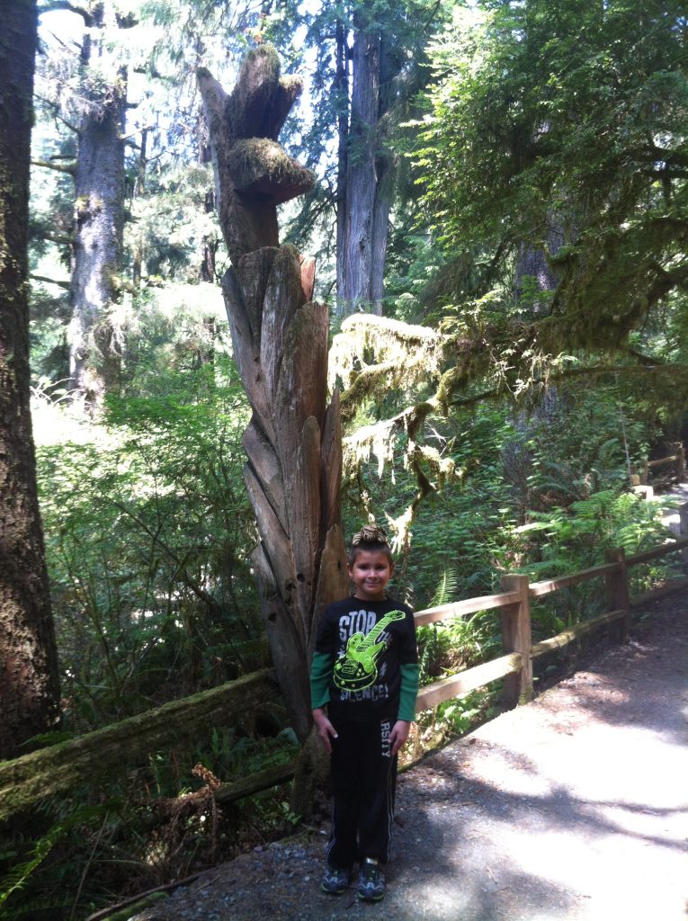 California Redwood National Park 2015 069