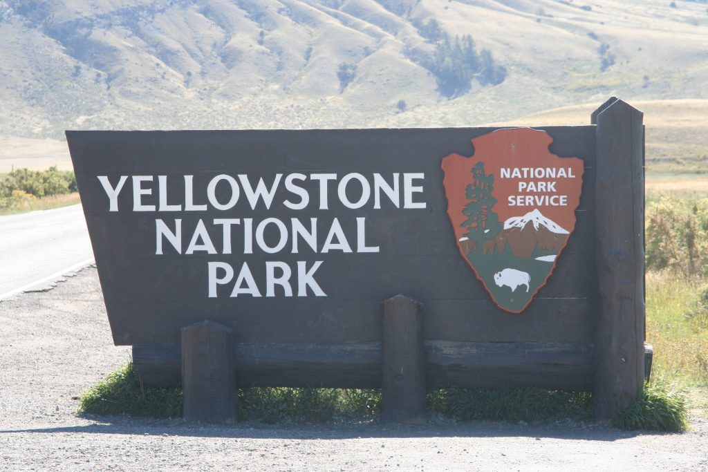 Yellowstone 2014 046
