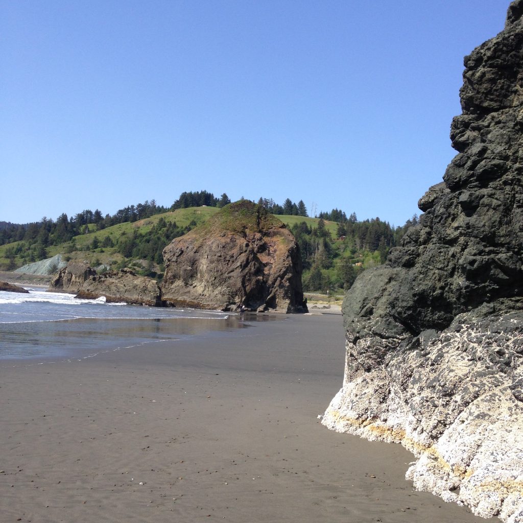 Oregon Coast May 2015 448
