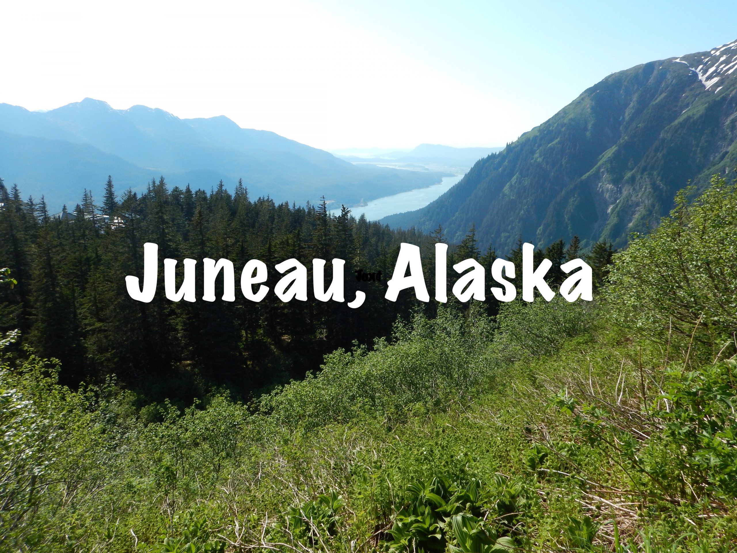 juneau cruise