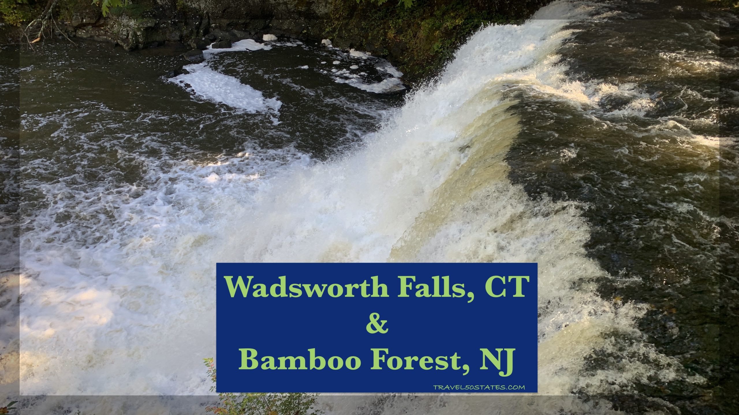 Bamboo Grove, New Jersey and Wadsworth Falls, Connecticut